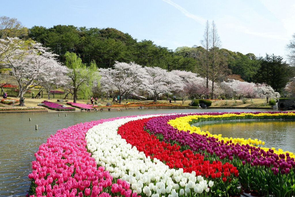 Công viên hoa Hamamatsu ivivu 4