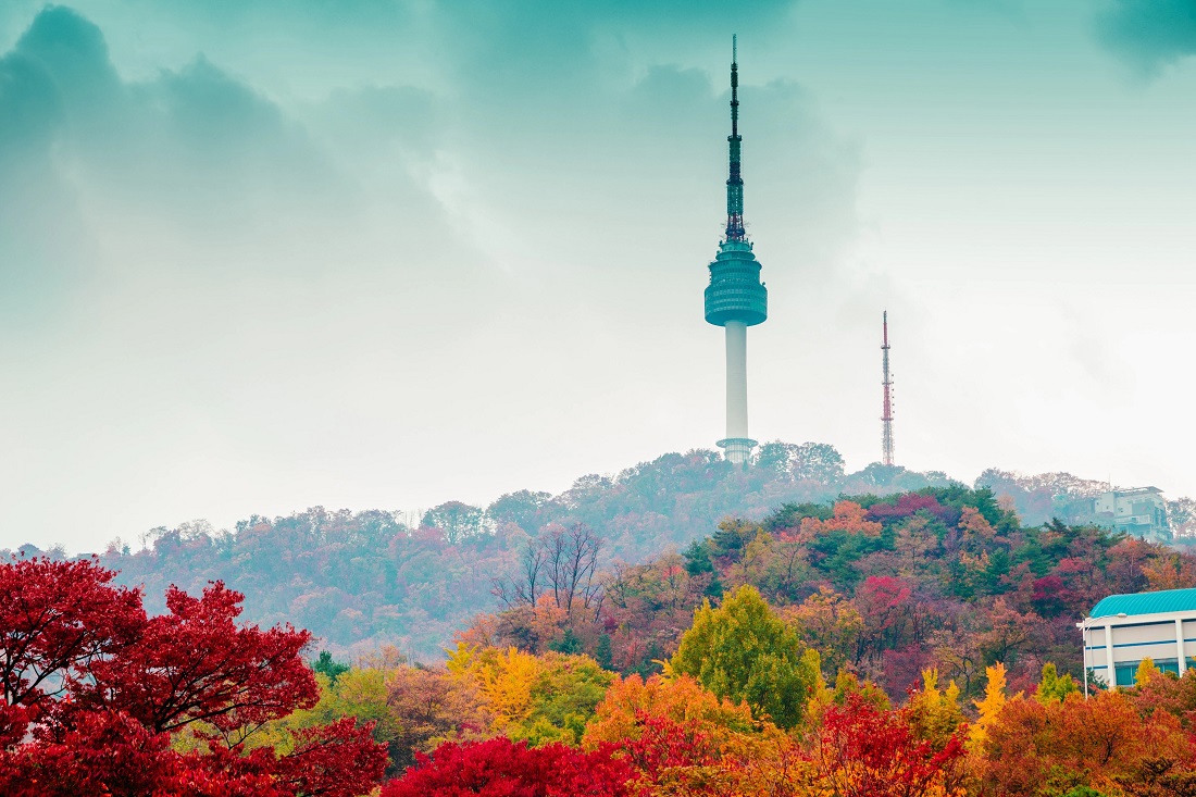 Dịch vụ Tháp N Seoul (Tháp Namsan) | TGROUP Du lịch Thông minh SMARTOURISM
