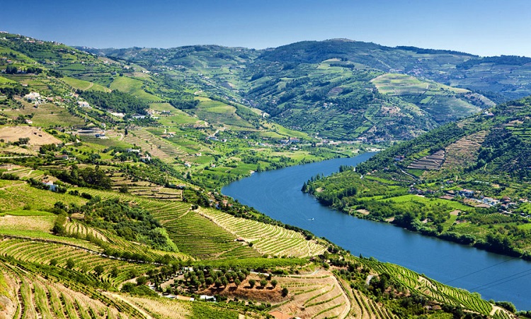 Khám phá Sông Douro, một trong những con sông đẹp nhất Châu Âu