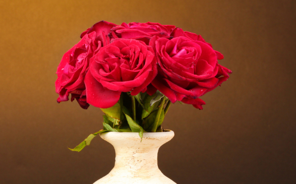 Loại hoa nào nên bày trên bàn thờ ngày Tết giúp thu hút tài lộc?