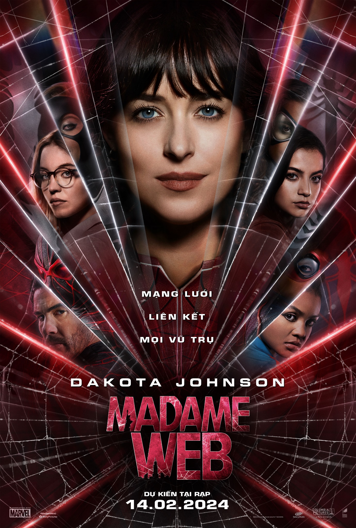 Madame Web - “Người nhện” bá đạo bậc nhất đa vũ trụ