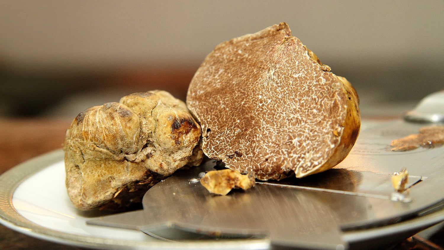 Vì sao nấm truffle trắng được các đầu bếp săn lùng?