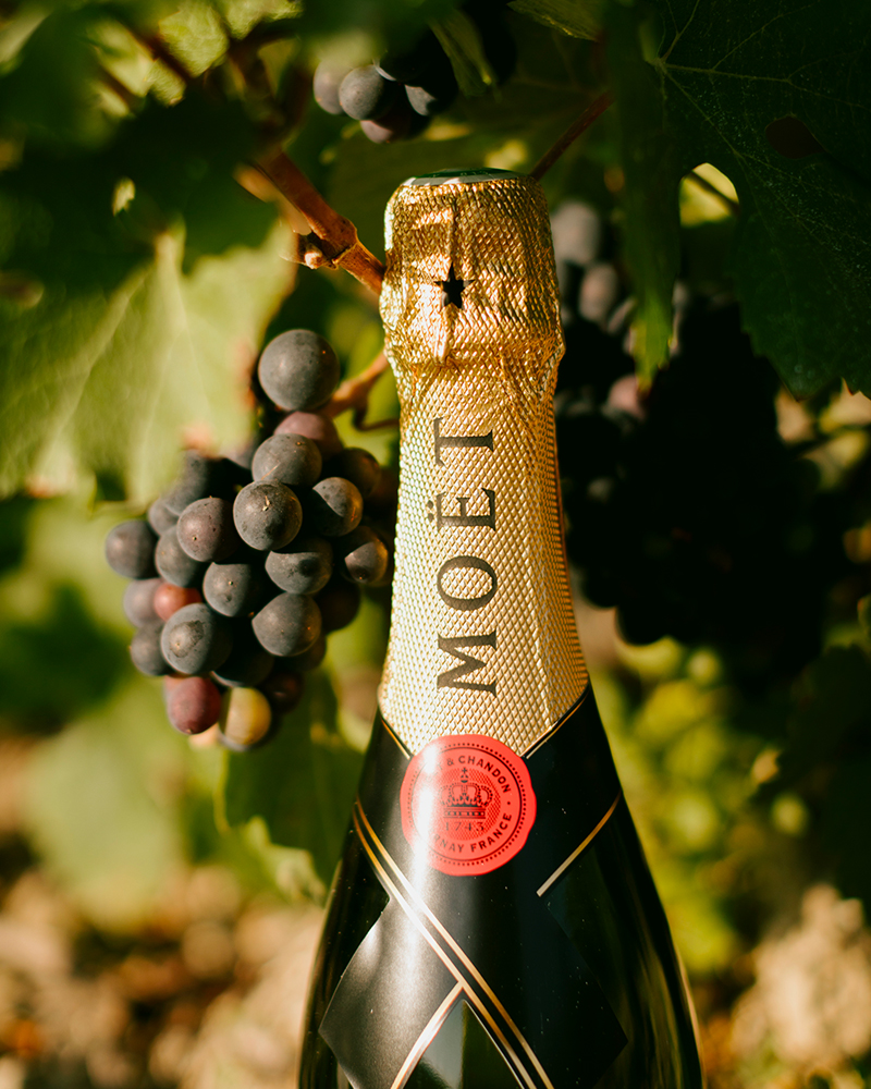 Moët & Chandon – Đẳng cấp Champagne Pháp tôn vinh mùa lễ hội