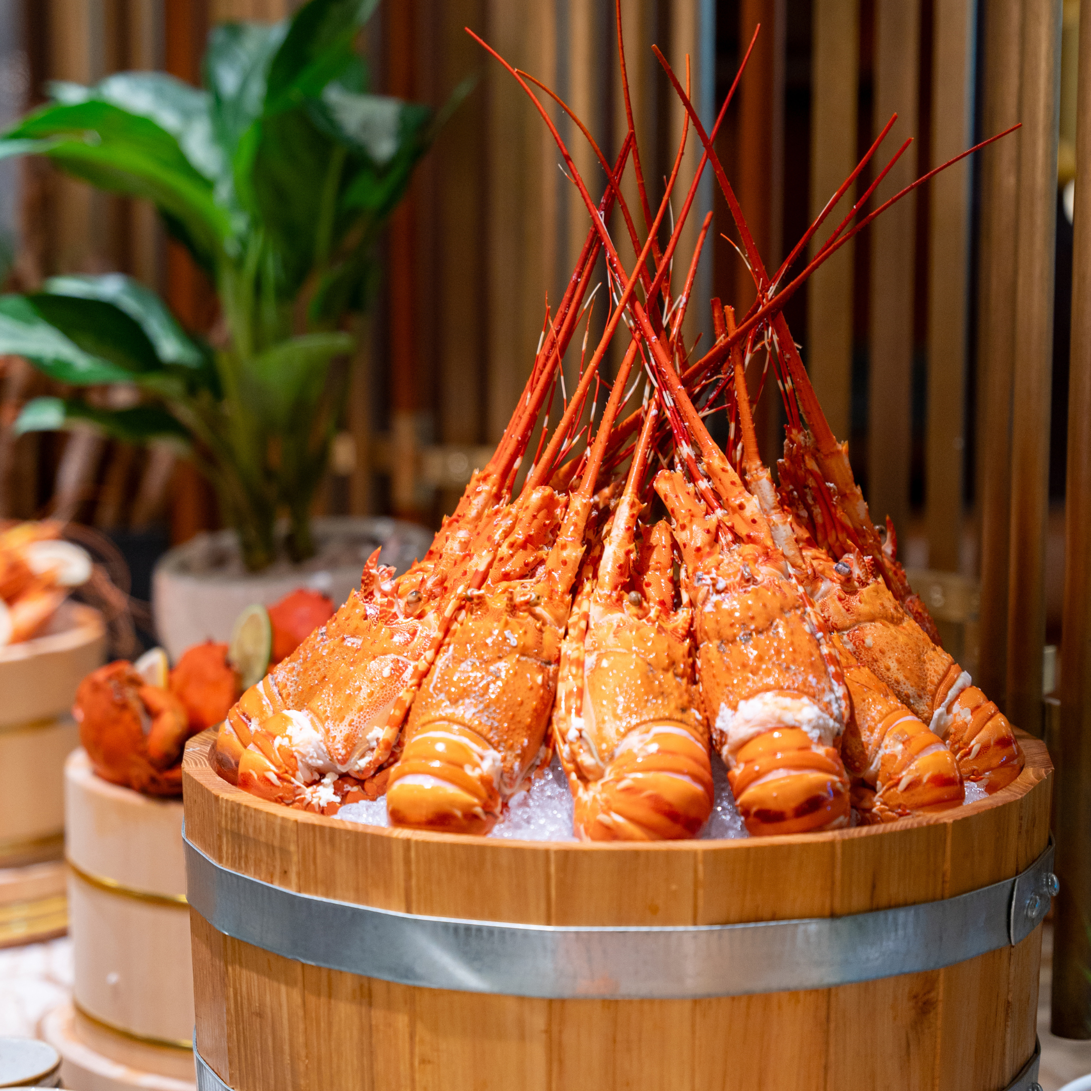 The Strand tại Hilton Saigon đón khách với buffet hải sản thịnh soạn