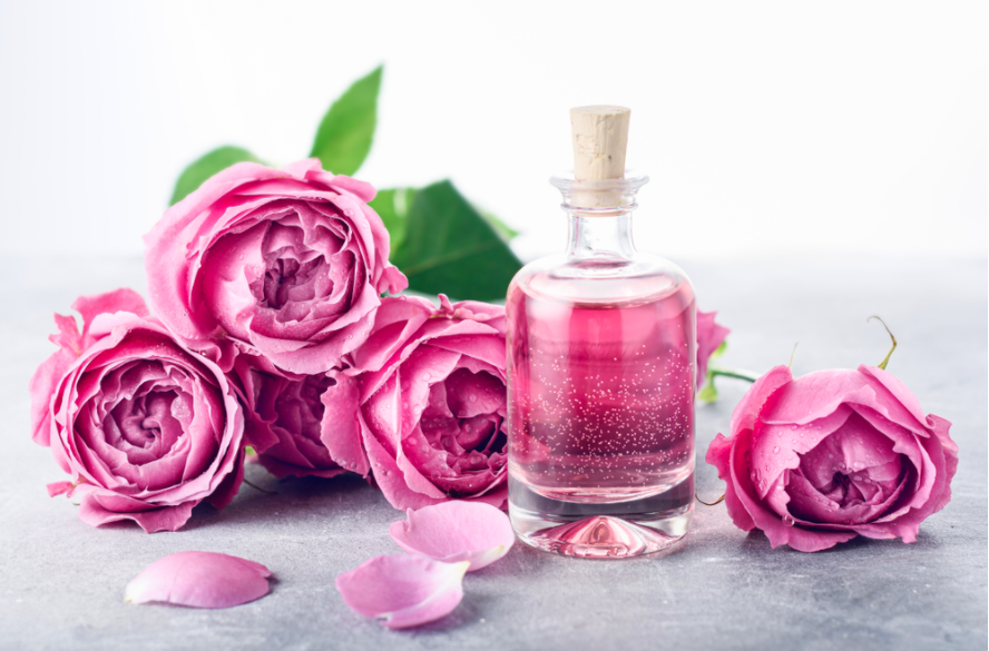 Công dụng của hoa hồng trong việc làm đẹp, trị liệu tốt cho sức khỏe