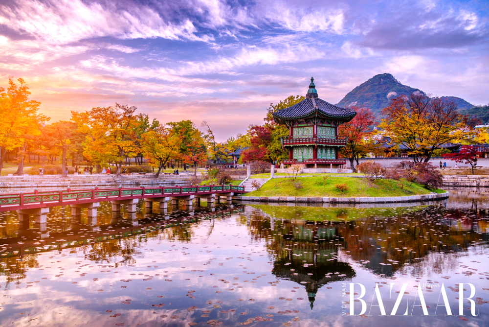 Du lịch Hàn Quốc mùa nào đẹp? Khám phá xứ sở kim chi
